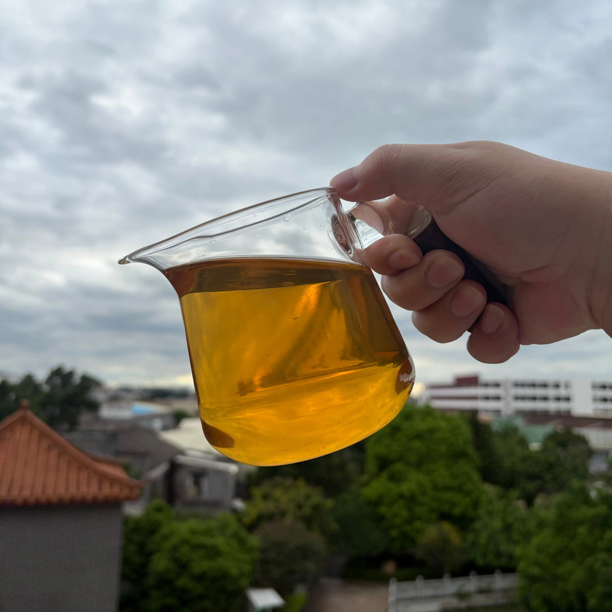 Ya Shi Xiang Phoenix Dancong - Fine Tea zycschina