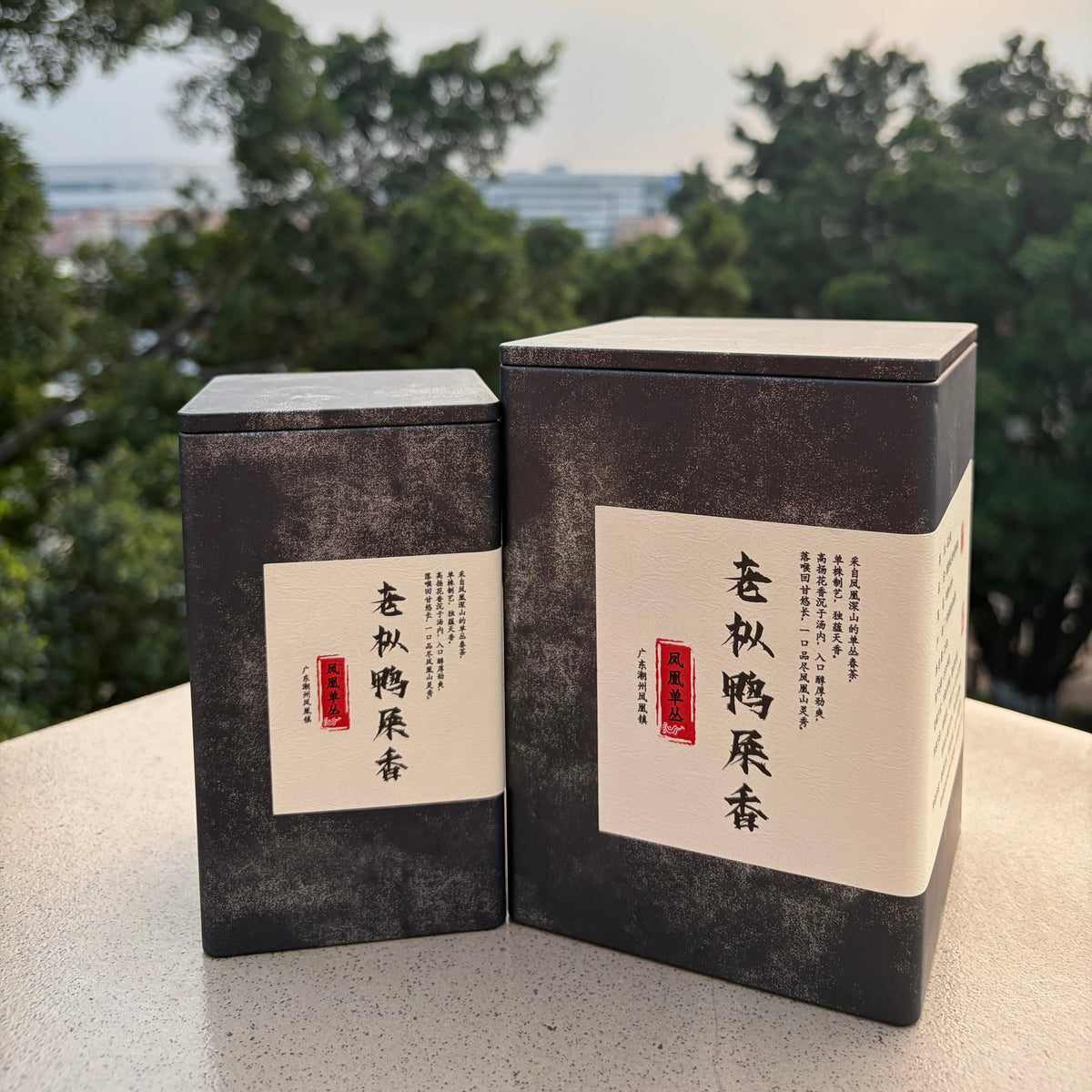 Ya Shi Xiang Phoenix Dancong - Fine Tea zycschina