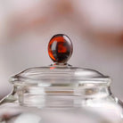 Yan Chen 310cc - Glass teapot zycschina