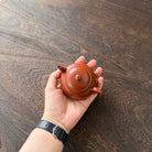Yi Gong 150cc - Yixing Handmade Teapot 江苏宜兴