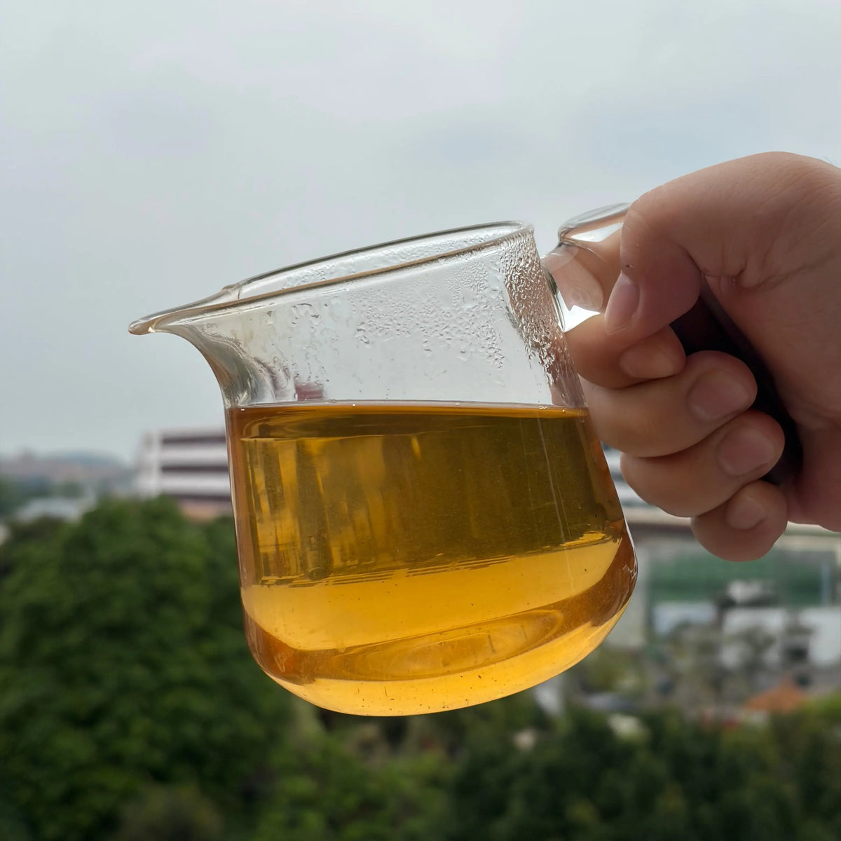 Yi Ye Ru Lai Sheng Pu’er Tea - Fine Tea 【BE】 zycschina