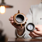 Yi Zhu 100cc - Yixing Handmade Teapot 江苏宜兴