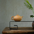 Yin Long Gong Chun 200cc - Yixing Handmade Teapot 江苏宜兴