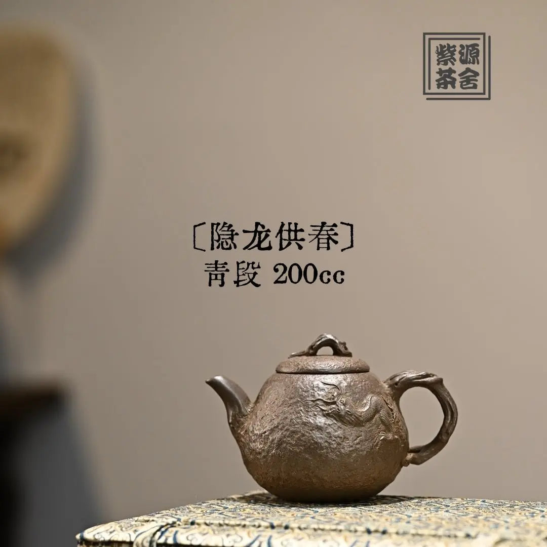 Yin Long Gong Chun 200cc - Yixing Handmade Teapot 江苏宜兴