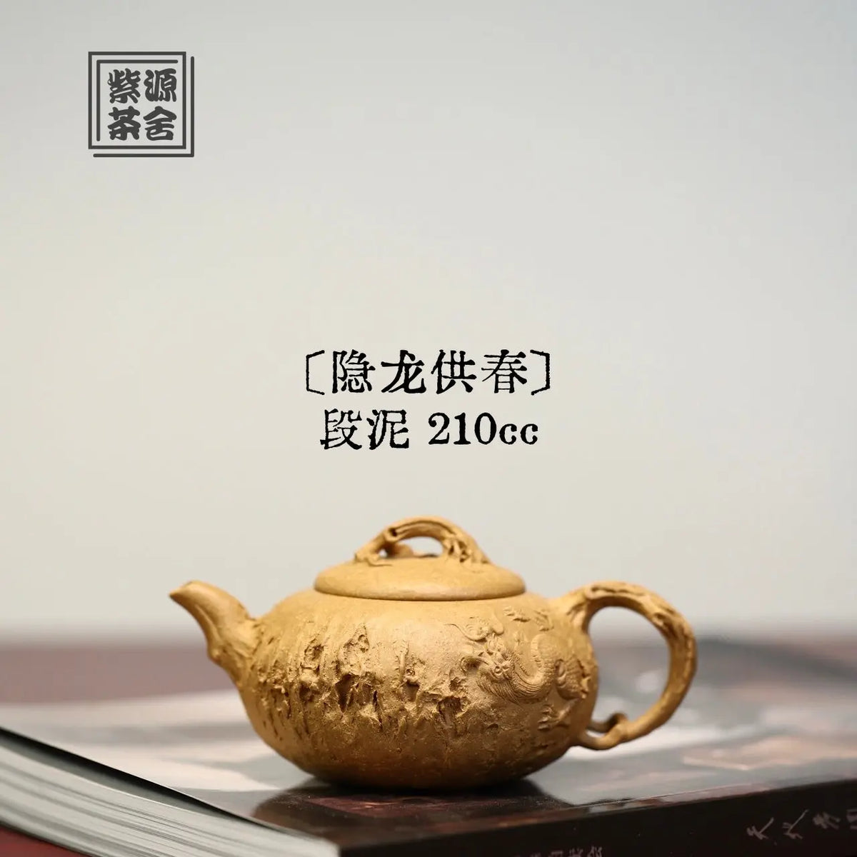 Yin Long Gong Chun 210cc - Yixing Handmade Teapot 江苏宜兴