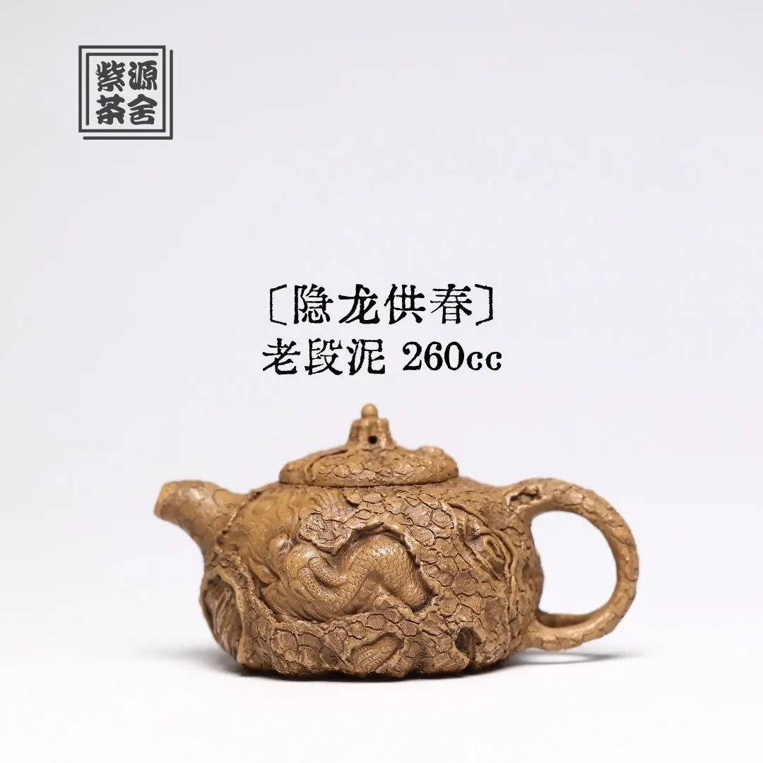 Yin Long Gong Chun 260cc - Yixing Handmade Teapot 江苏宜兴