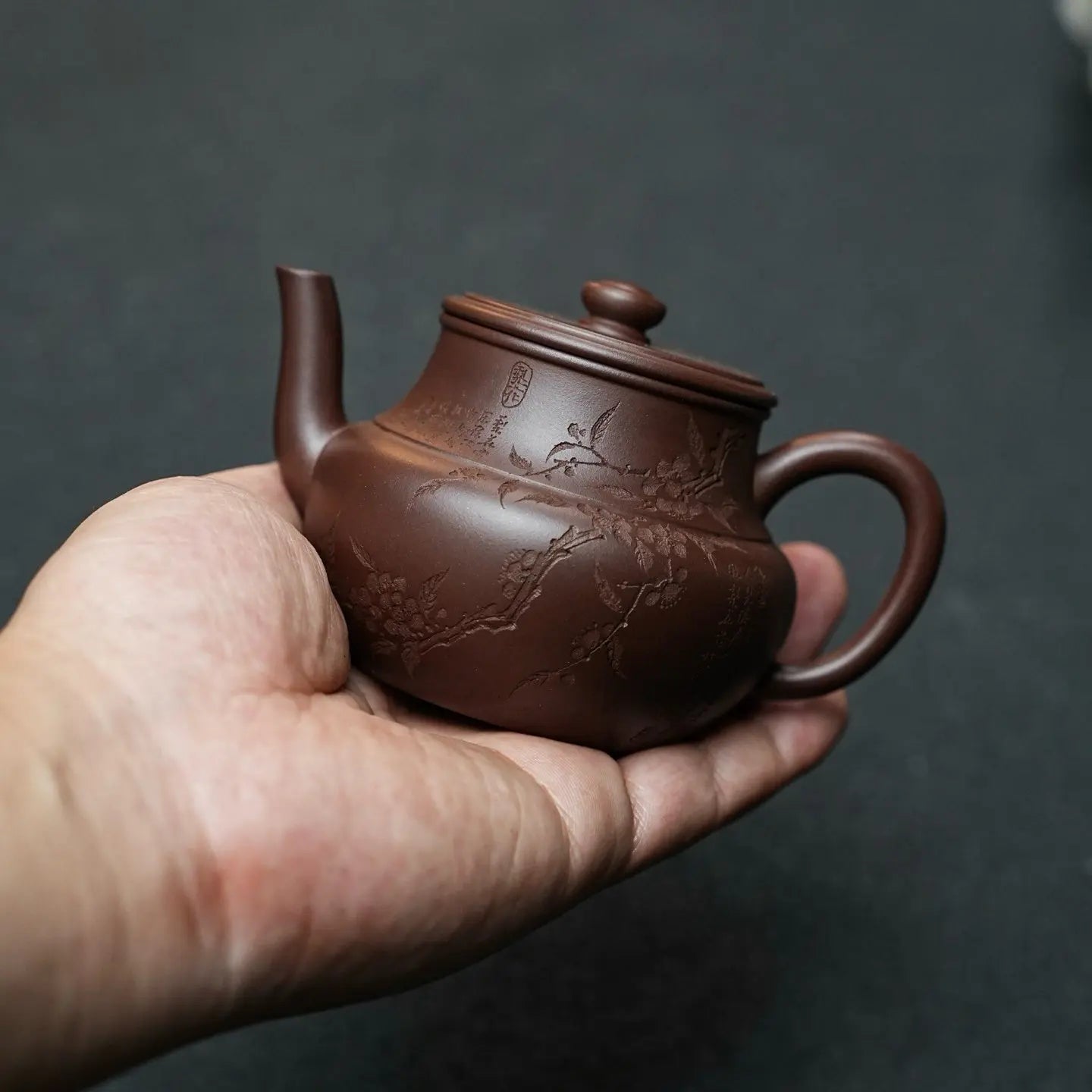 Yin Yue 160cc - Yixing Handmade Teapot 江苏宜兴