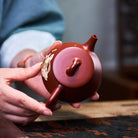 Yu Tu Shi Piao 160cc - Yixing Handmade Teapot 江苏宜兴