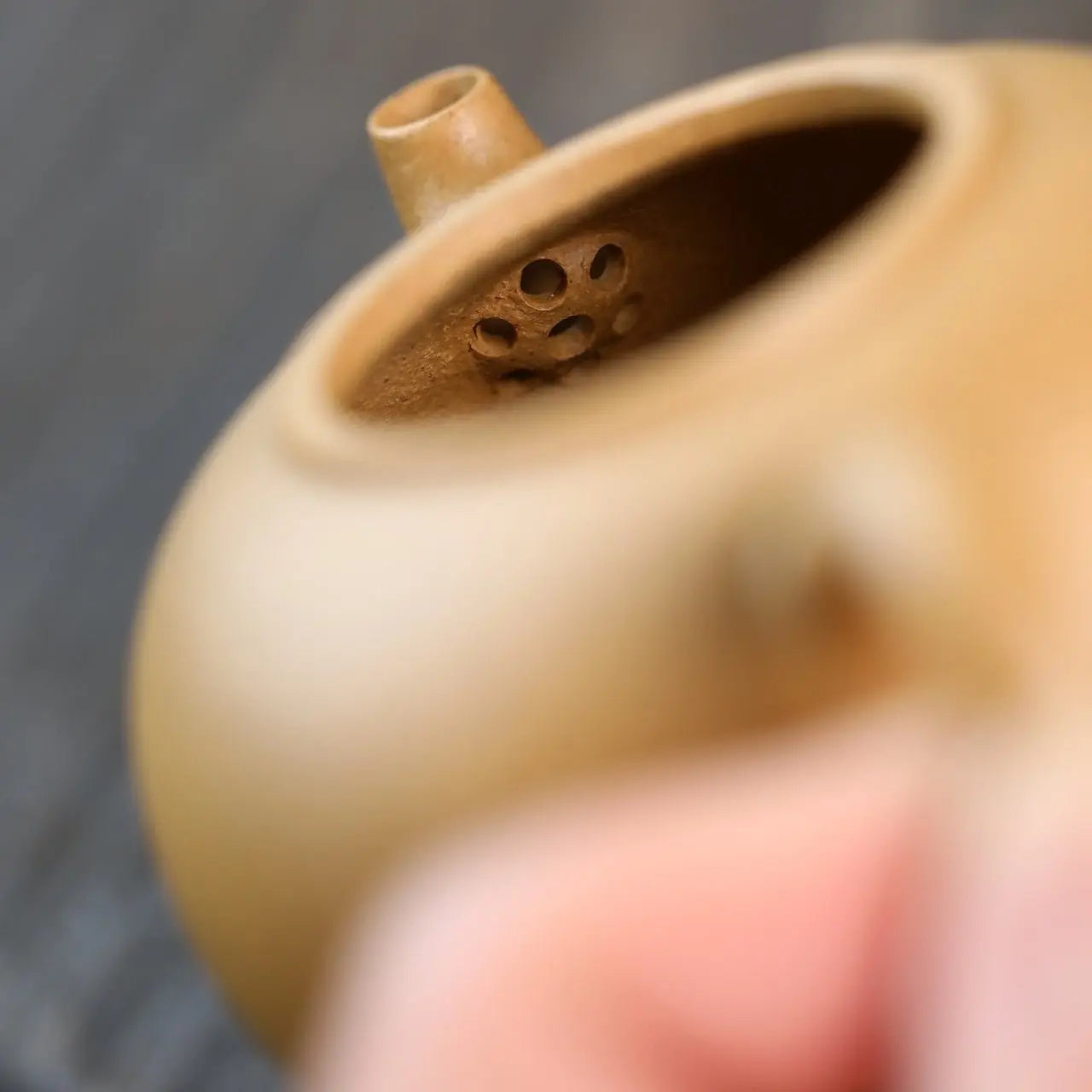 Yu Zhu 140cc - Yixing Handmade Teapot 江苏宜兴