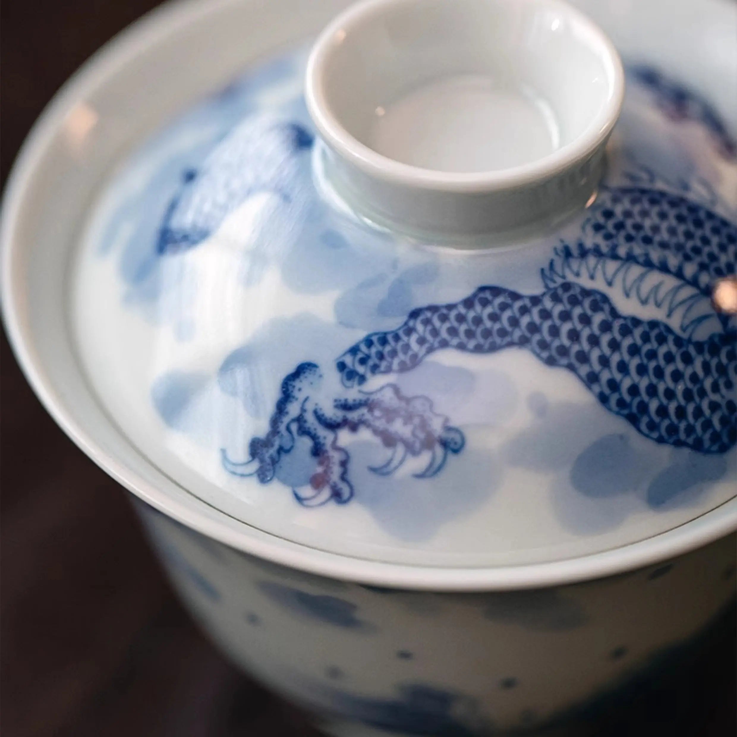 Yun Hai Teng Long/ Teng Long Fan Juan  - Jing De Zhen Porcelain Gaiwan zycschina