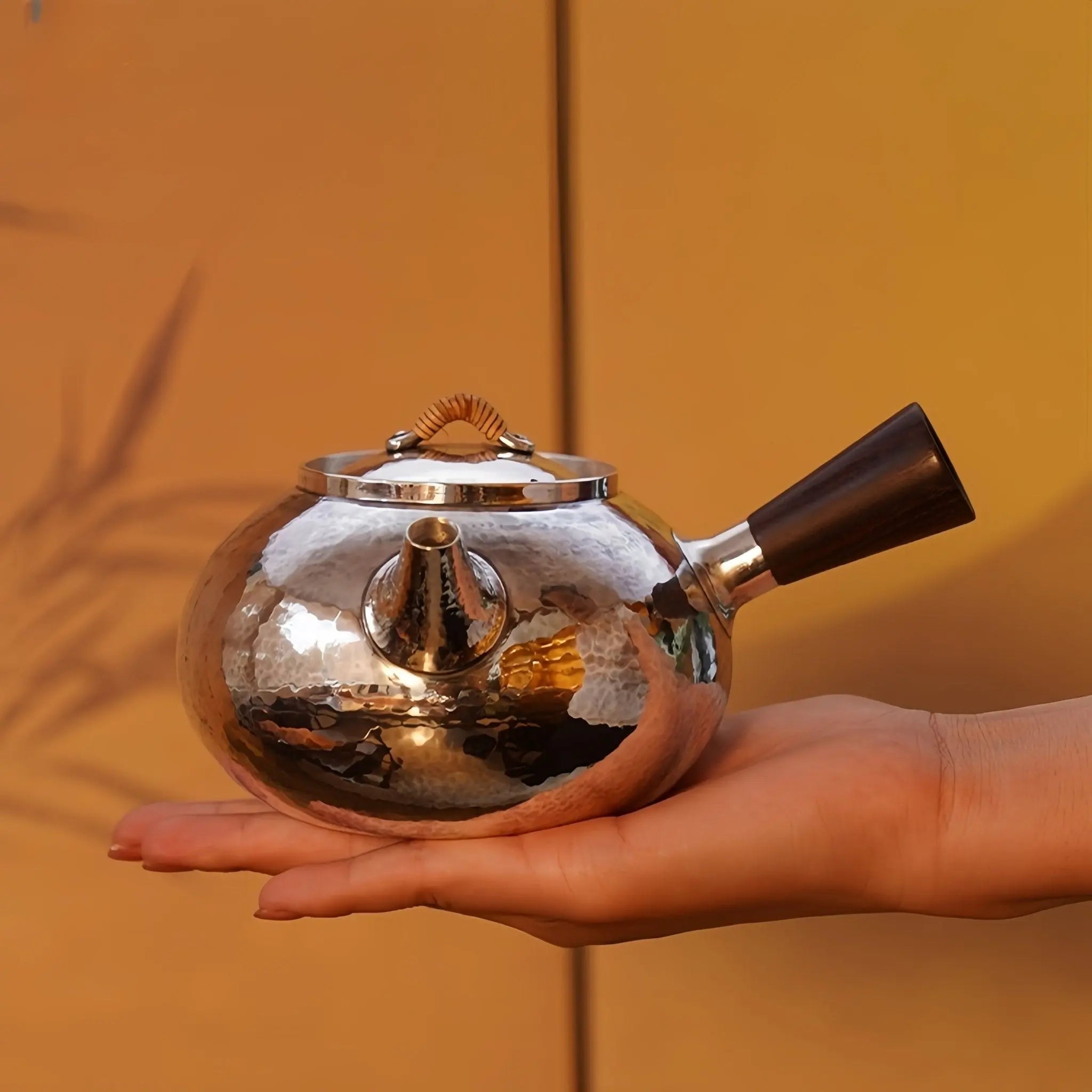 Yun Qi 500cc - Handmade silver pot zycschina