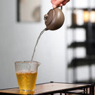 Zhen Xin Zhen Yi 170cc - Yixing Handmade Teapot 江苏宜兴