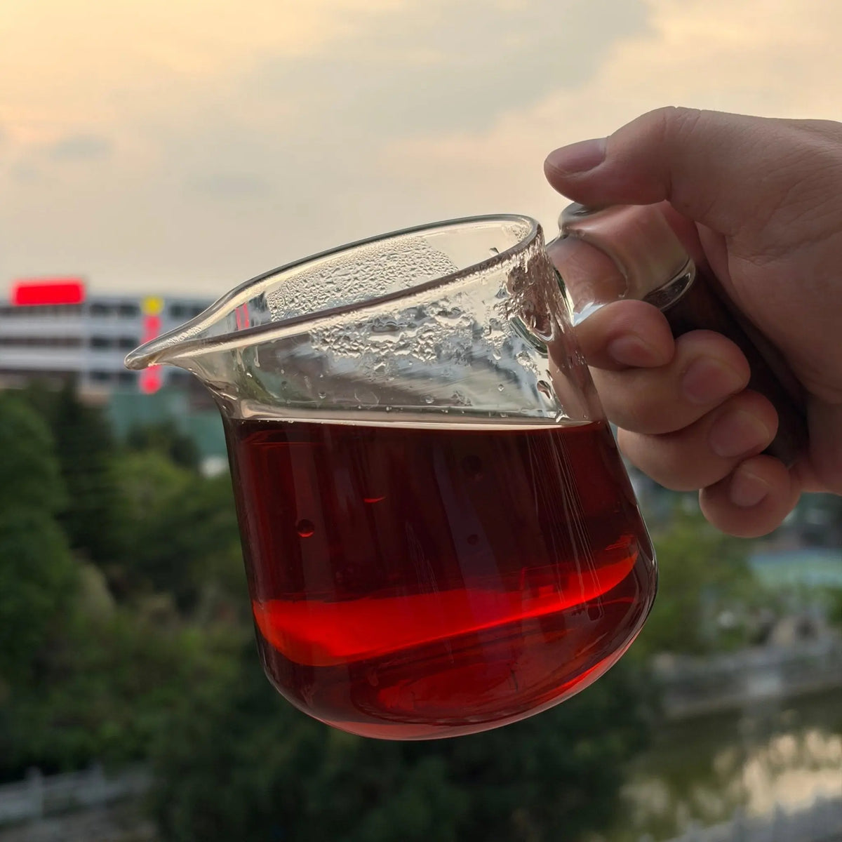 Zheng Zhi Wei Pu'er Tea - Fine Tea 【A】 zycschina