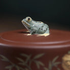 Zhi Zu Set - Yixing Handmade Teapot 江苏宜兴
