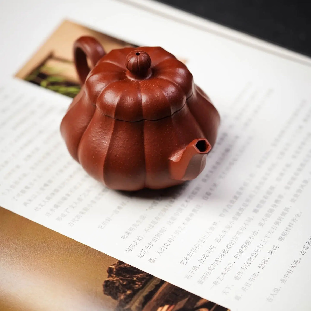 Zhong Fang Li Shi 100cc - Yixing Handmade Teapot 江苏宜兴