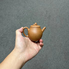 Zhu Qu 140cc - Yixing Handmade Teapot 江苏宜兴