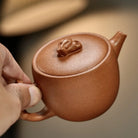 Zhu Wa 160cc - Yixing Handmade Teapot 江苏宜兴
