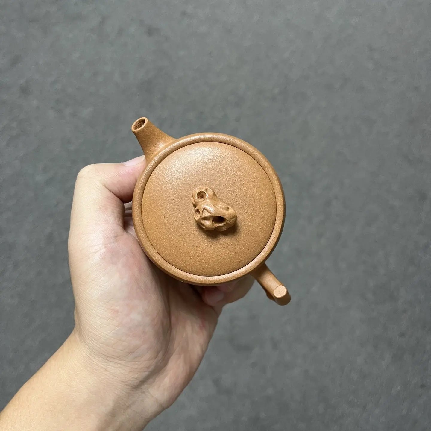 Zhu Wa 160cc - Yixing Handmade Teapot 江苏宜兴