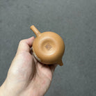 Zhu Wa 160cc - Yixing Handmade Teapot 江苏宜兴