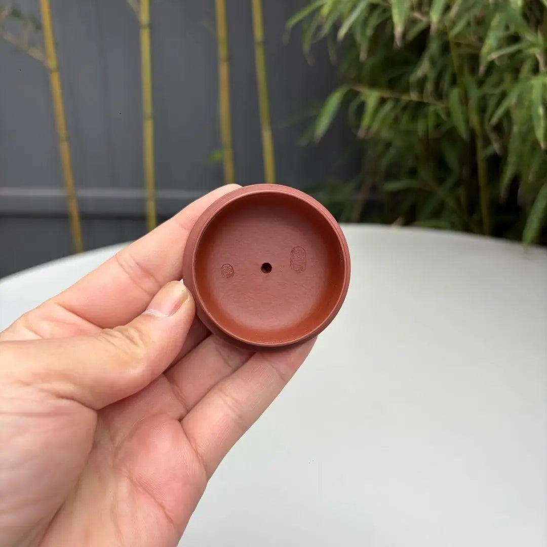 Zhu Yi 180cc - Yixing Handmade Teapot 江苏宜兴