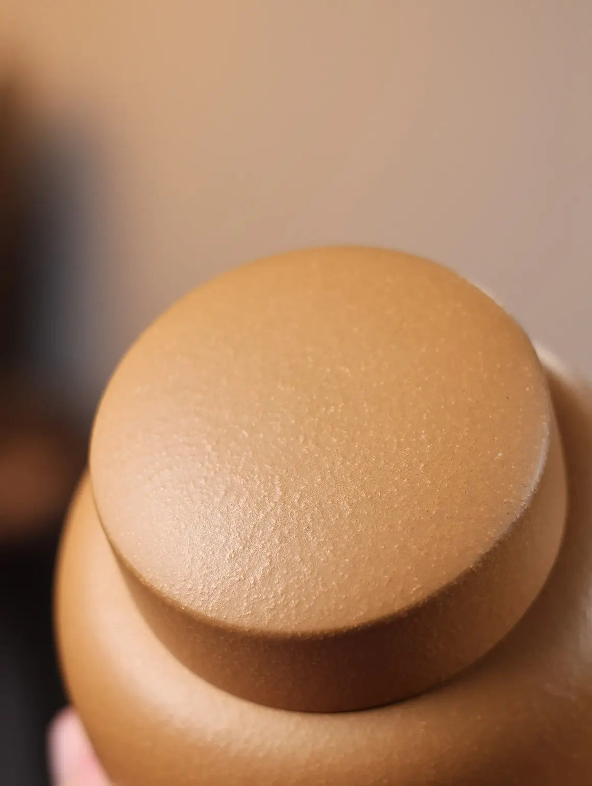 Zi Le - Yixing Handmade Zisha Teacan 江苏宜兴