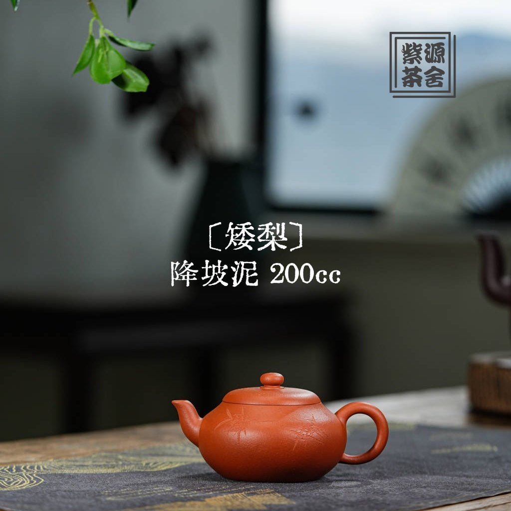 Ai Li 200cc - Yixing Handmade Teapot - zycs_China