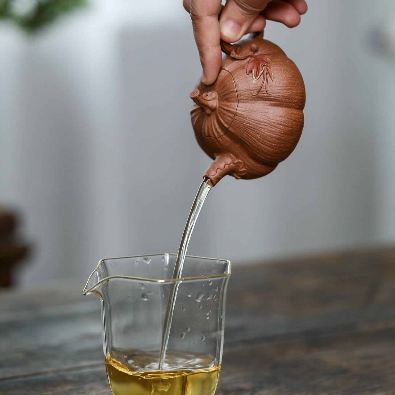 Ai Nan Gua 140cc - Yixing Handmade Teapot - zycs_China