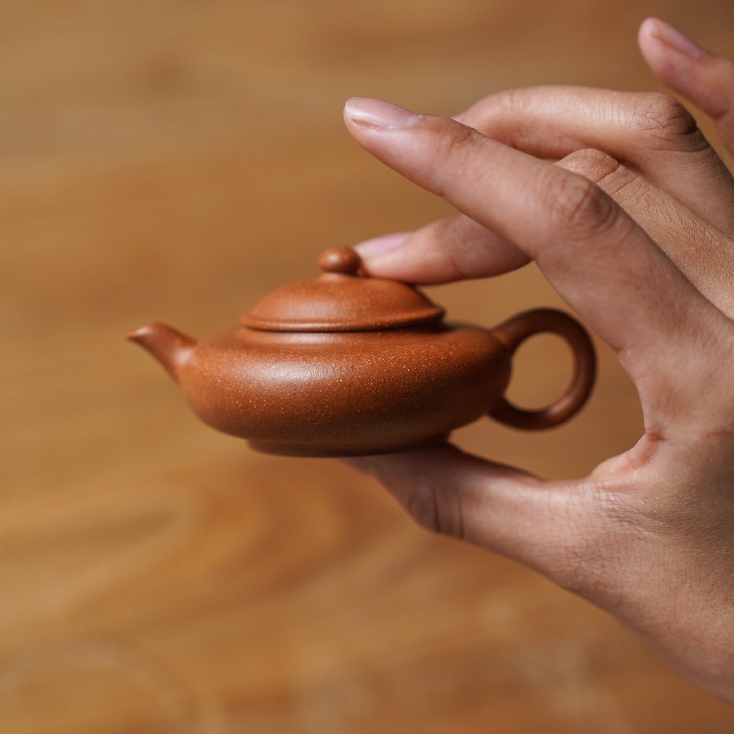 Ai Pan Hu 60cc - Yixing Handmade Teapot - zycs_China