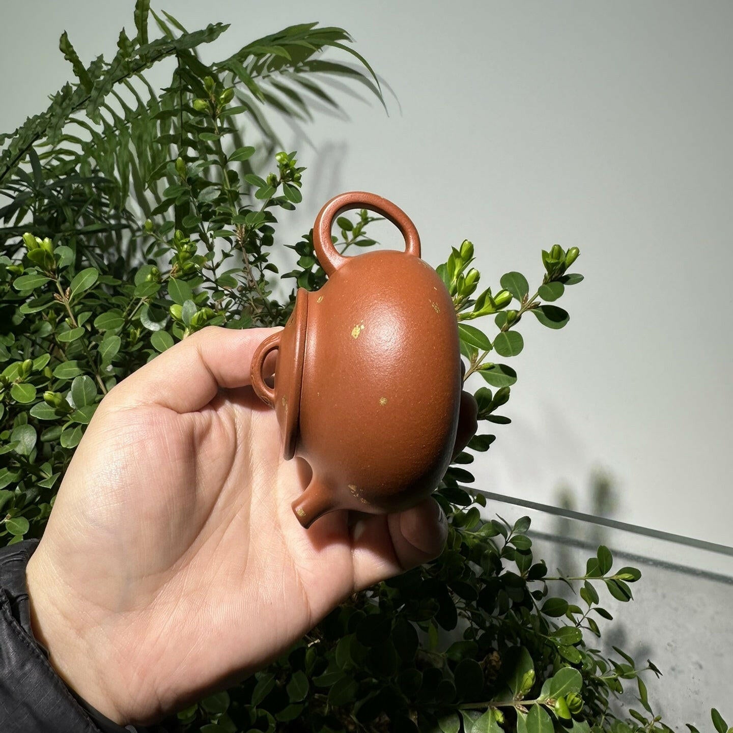 An Lai 150cc - Yixing Handmade Teapot - zycs_China