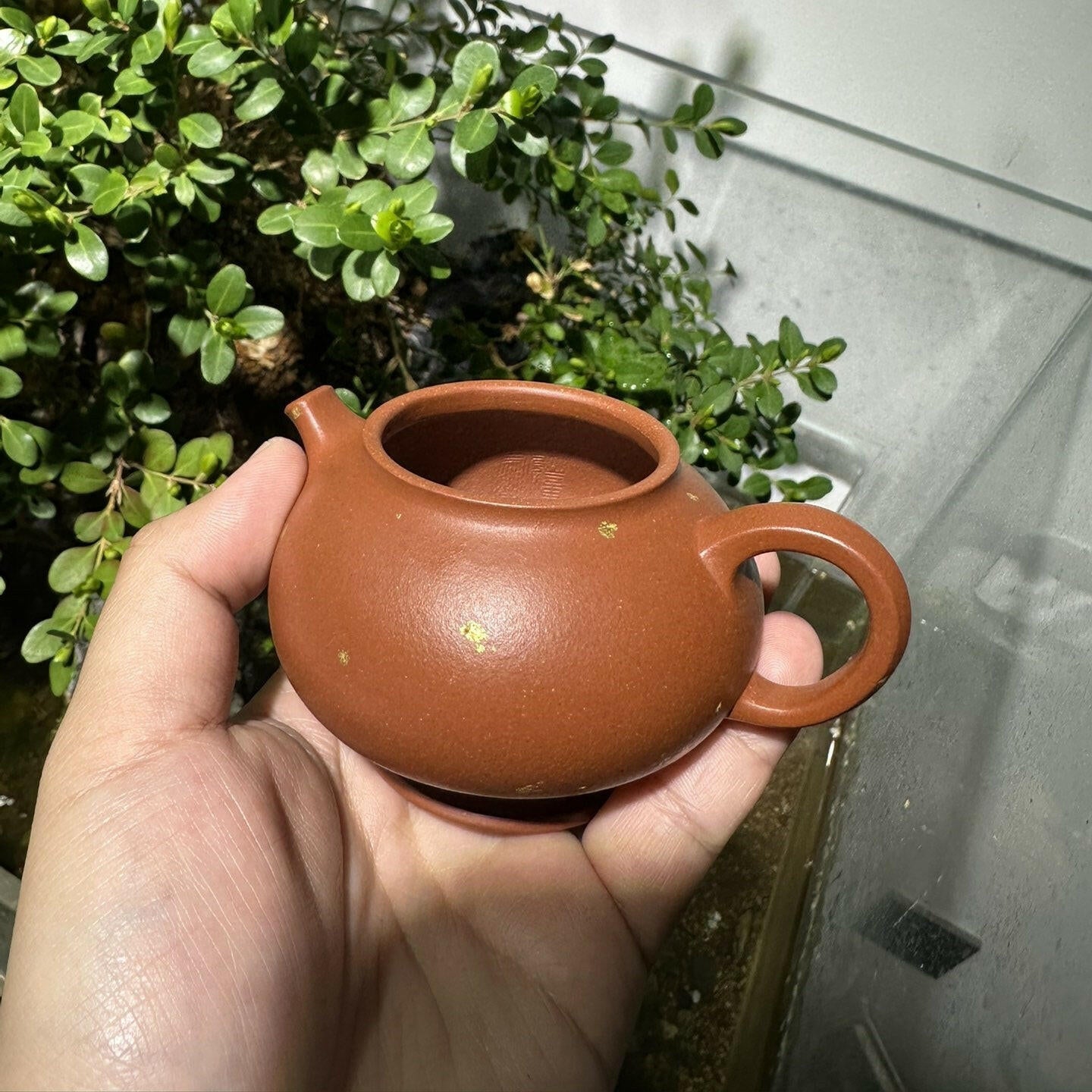 An Lai 150cc - Yixing Handmade Teapot - zycs_China