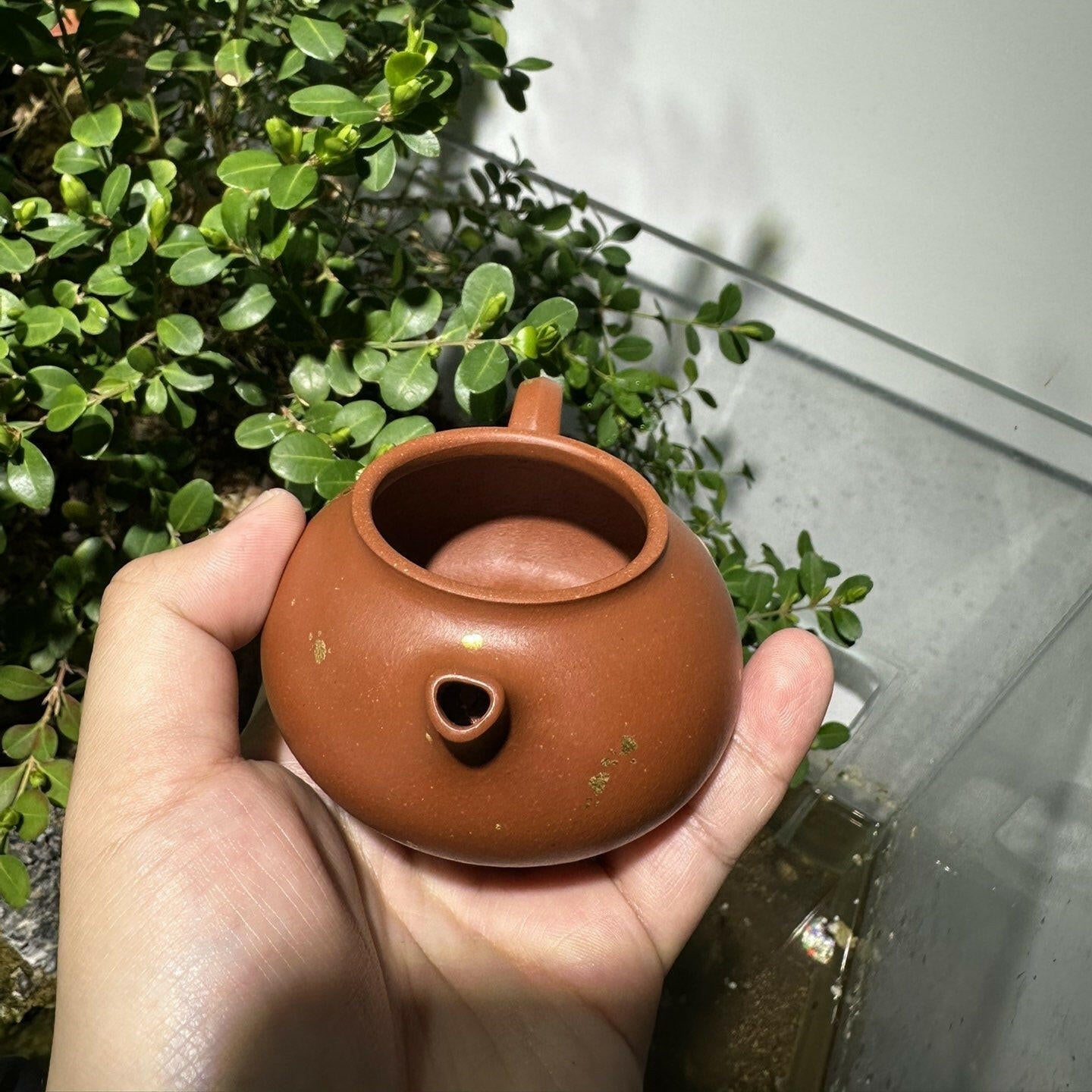 An Lai 150cc - Yixing Handmade Teapot - zycs_China