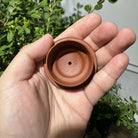 An Lai 150cc - Yixing Handmade Teapot - zycs_China