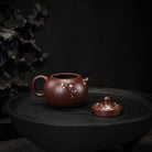 Ao Mei Xi Shi - Yixing Handmade Teapot - zycs_China