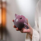 Ba Hua Long Dan 240cc - Yixing Handmade Teapot - zycs_China