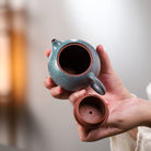 Ba Hua Xi Shi 200cc - Yixing Handmade Teapot - zycs_China