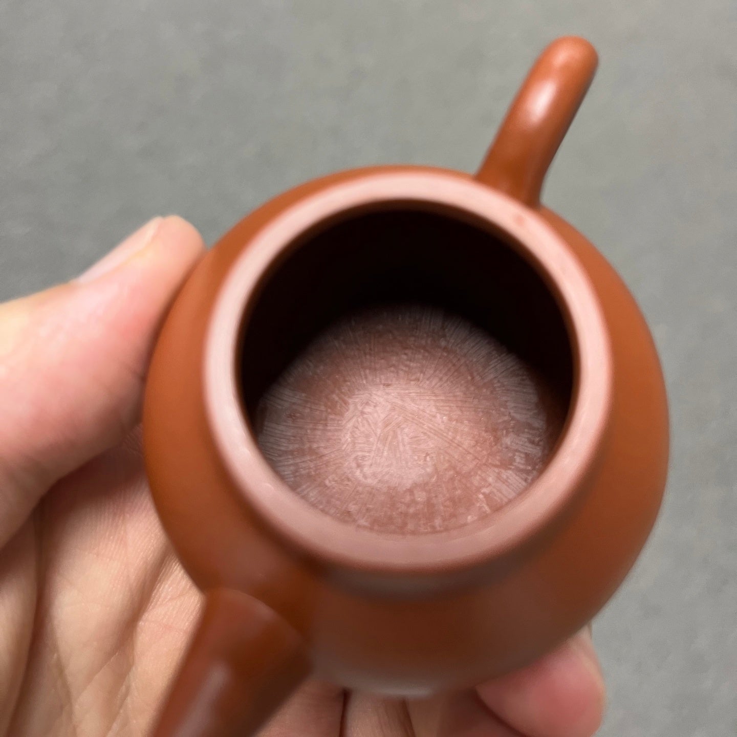 Ba Le Shui Ping 60cc - Yixing Handmade Teapot - zycs_China