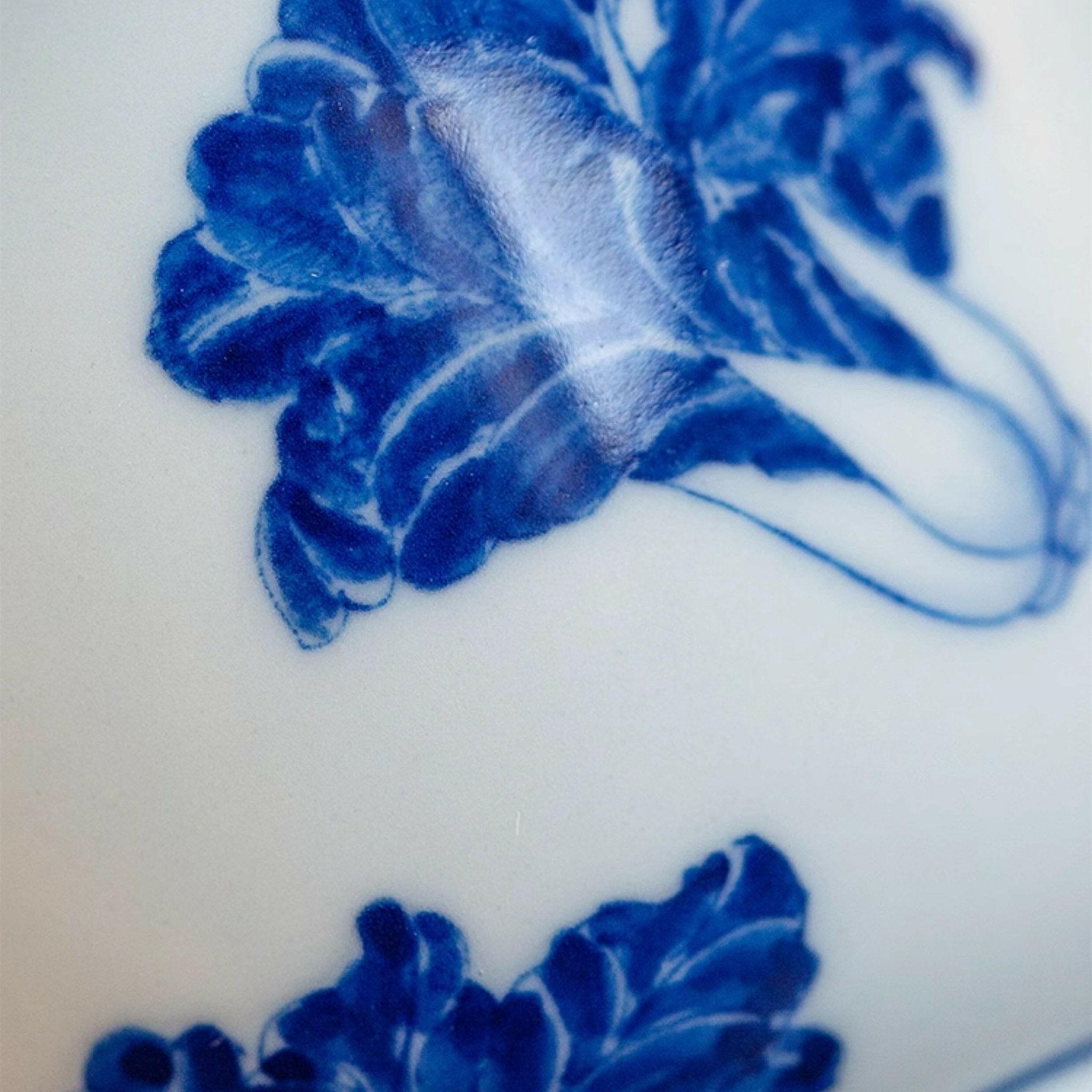 Bai Cai - Jing De Zhen Porcelain Gaiwan - zycs_China