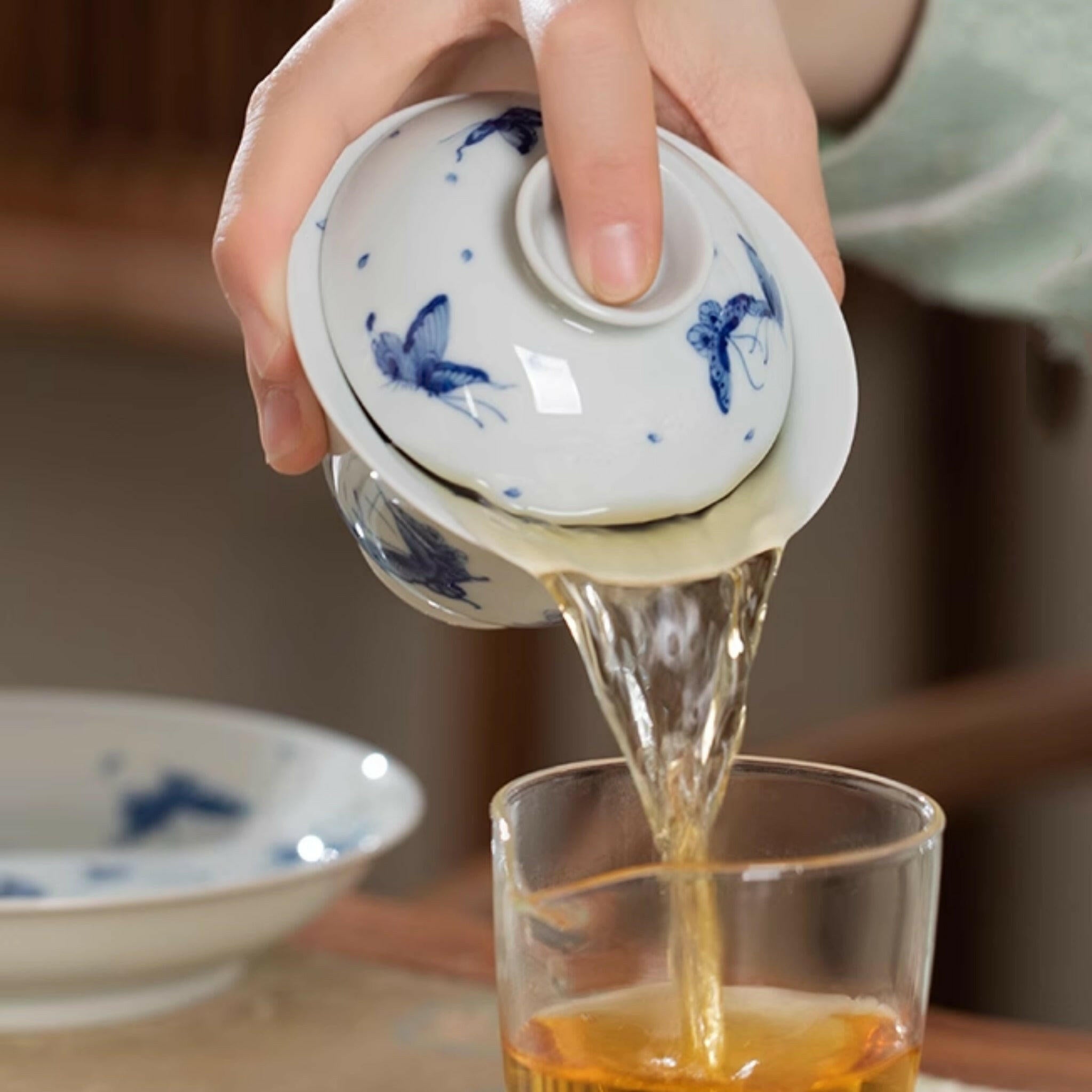 Bai Die Wen - Jing De Zhen Porcelain Gaiwan - zycs_China