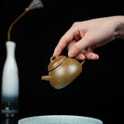 Ban Piao 125cc - Yixing Handmade Teapot - zycs_China