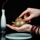 Ban Piao 125cc - Yixing Handmade Teapot - zycs_China