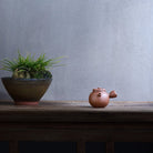 Bao Xu Ji Xu 110cc - Yixing Handmade Teapot - zycs_China