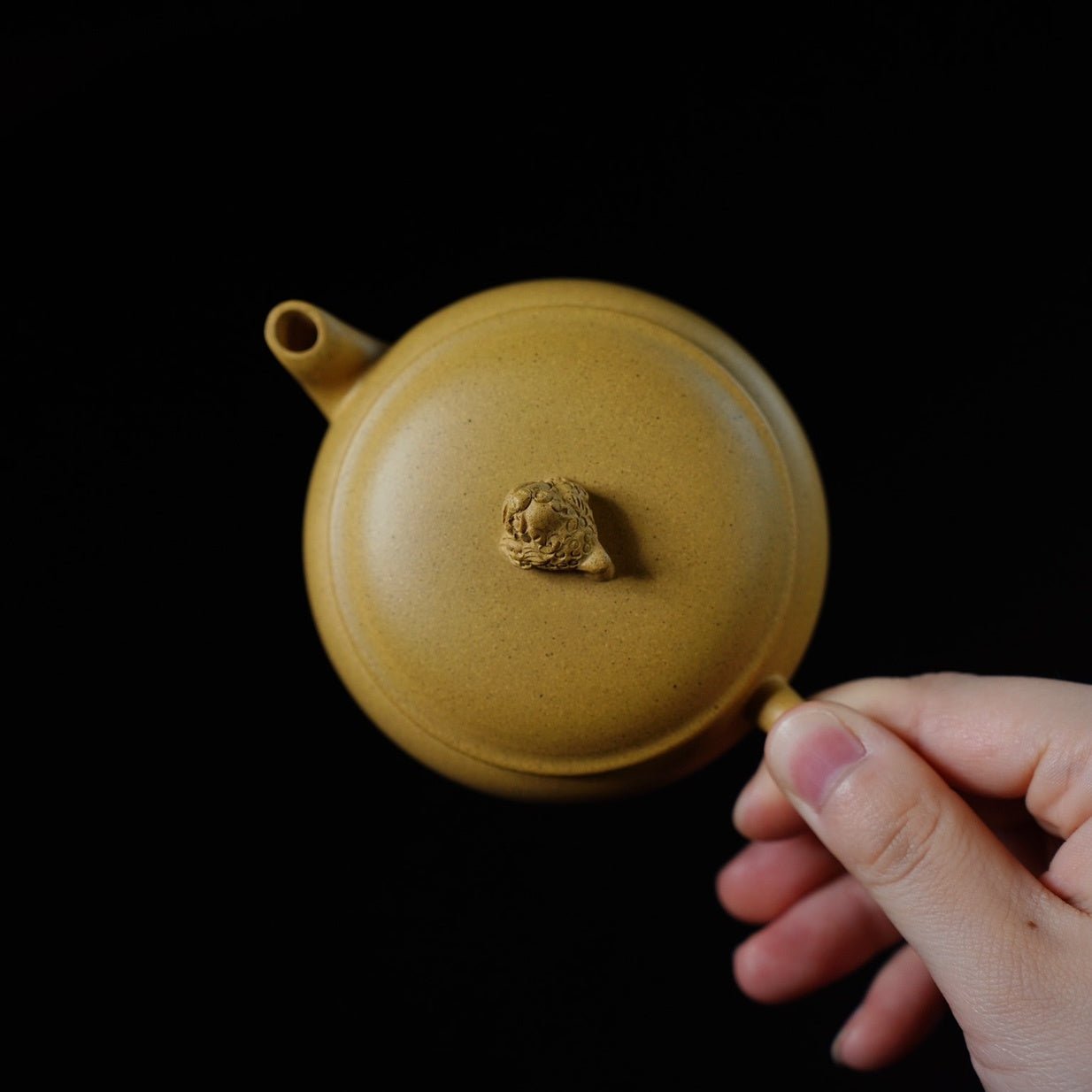 Bao Yuan Hu 140cc - Yixing Handmade Teapot - zycs_China