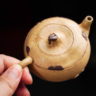 Bi Qi 80cc - Yixing Handmade Teapot - zycs_China