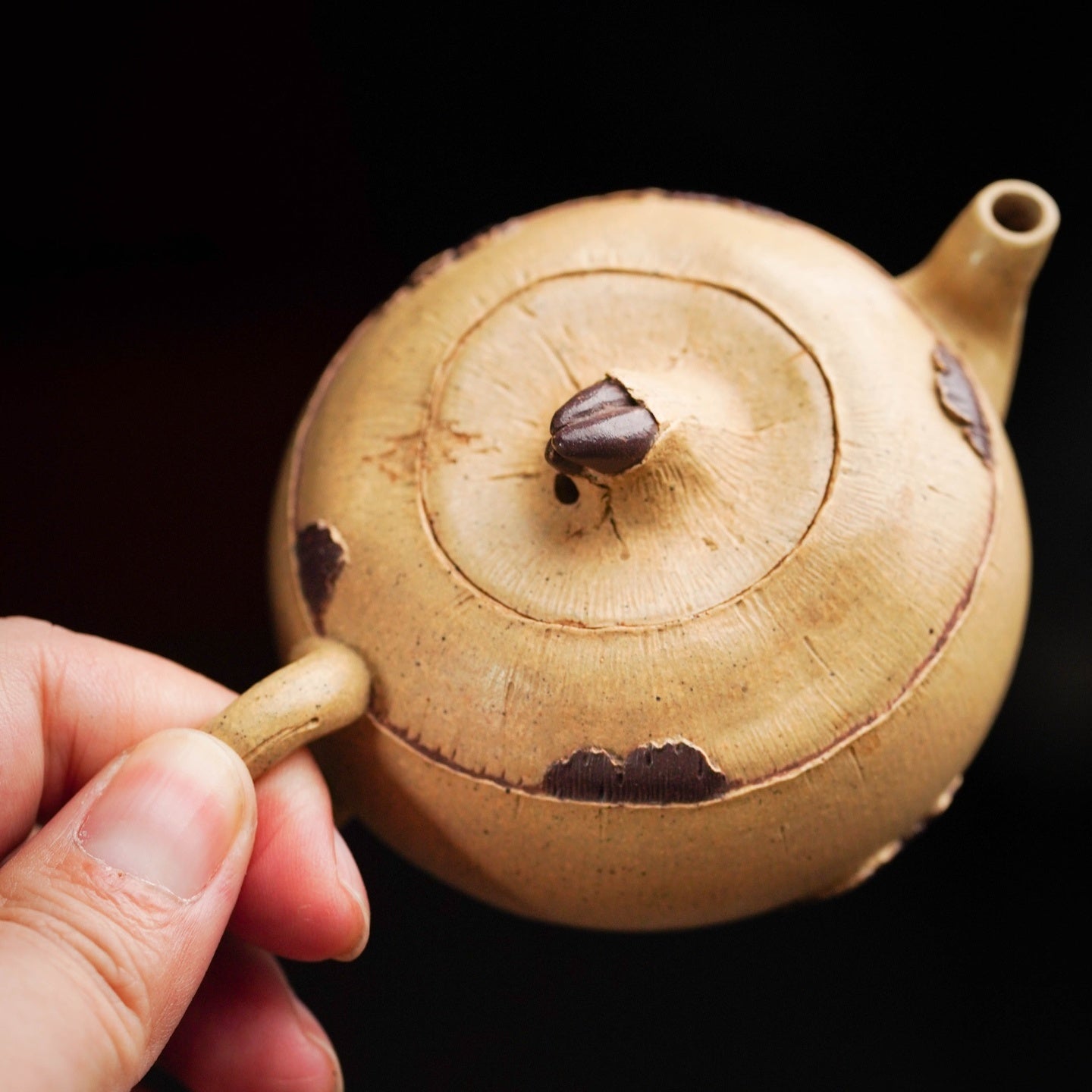 Bi Qi 80cc - Yixing Handmade Teapot - zycs_China