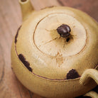 Bi Qi 80cc - Yixing Handmade Teapot - zycs_China
