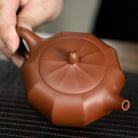Bi Yu Ling Hua 240cc - Yixing Handmade Teapot - zycs_China