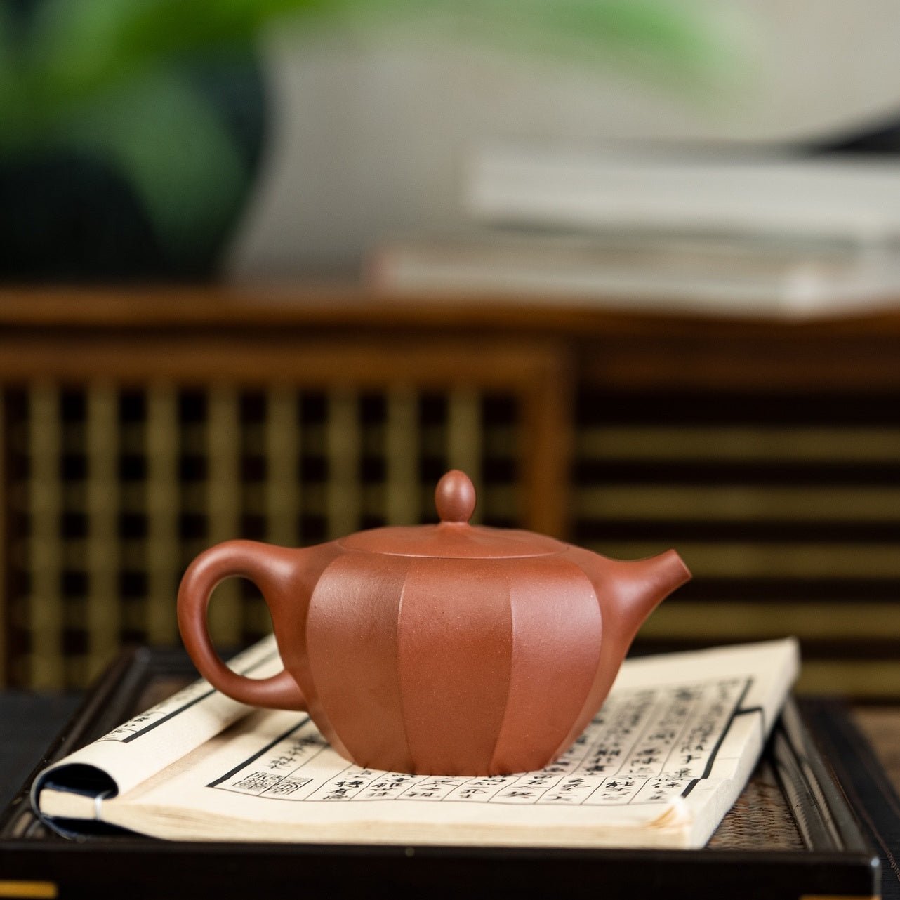 Bi Yu Ling Hua 240cc - Yixing Handmade Teapot - zycs_China