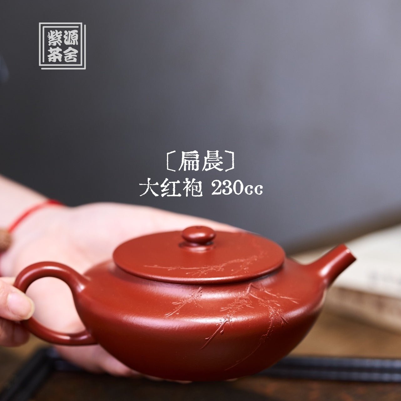 Bian Chen 230cc - Yixing Handmade Teapot - zycs_China