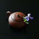Bian Xi Shi 80cc - Yixing Handmade Teapot - zycs_China