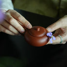 Bian Xi Shi 80cc - Yixing Handmade Teapot - zycs_China